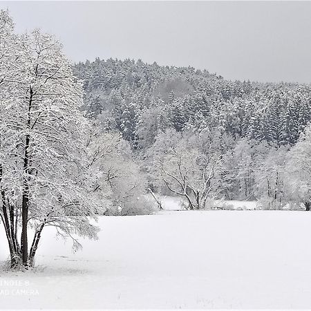 Mediterran-Skandinavisch-2 Burgthann Екстериор снимка